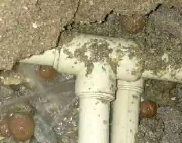 福贡测漏水多少钱