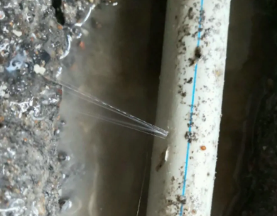 福贡测漏水哪家好