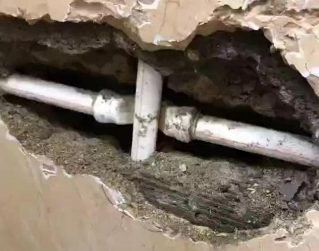 福贡测漏水哪家好